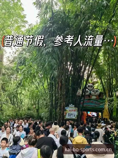 开博体育在线娱乐官方下载怎么选？资深用户教你避开那些坑